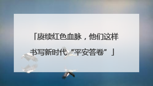 赓续红色血脉，他们这样书写新时代“平安答卷”